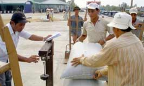 Hỗ trợ 100% lãi suất mua tạm trữ lúa, gạo