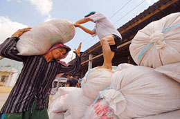 Đẩy mạnh tiến độ thu mua tạm trữ gạo là biện pháp cần thiết để giữ thị trường.