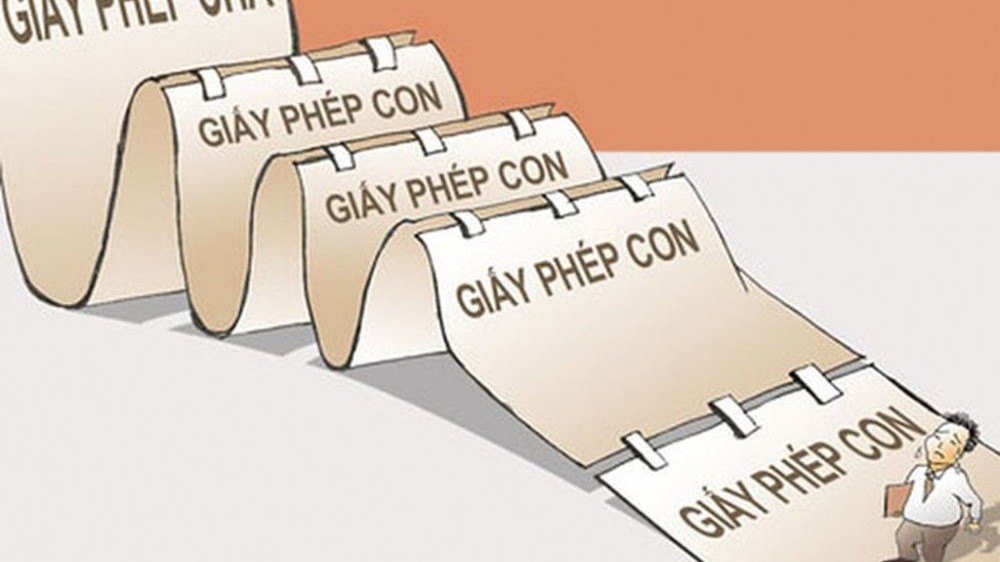 Chính phủ xác định tiếp tục rà soát, cắt giảm thực chất các ngành nghề đầu tư kinh doanh có điều kiện; 