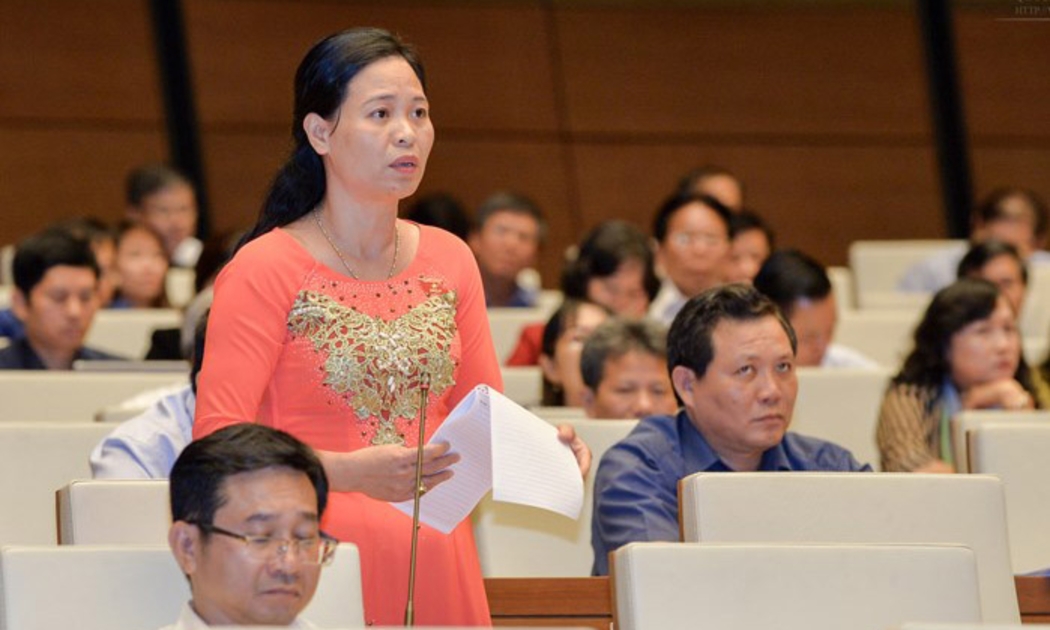 Dự án Luật Về hội đã được thảo luận tại kỳ họp thứ hai của Quốc hội (cuối năm 2016).