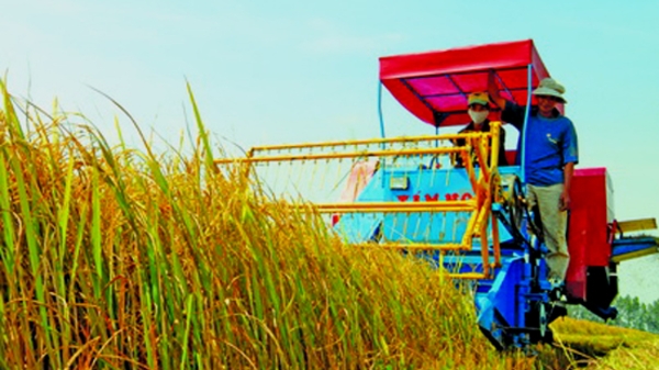 Giá trị sản xuất nông nghiệp 2010 tăng 4,7%