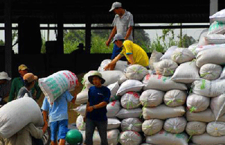 Quý 1/2012, Việt Nam đã ký hợp đồng bán cho Trung Quốc khoảng 1 triệu tấn gạo, nhưng các doanh nghiệp xuất khẩu vẫn e ngại.