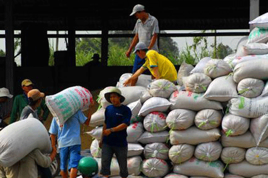 Từ 15/3 đến nay, thị trường lúa gạo chuyển biến tích cực là nhờ vào chủ trương thu mua tạm trữ 1 triệu tấn gạo.