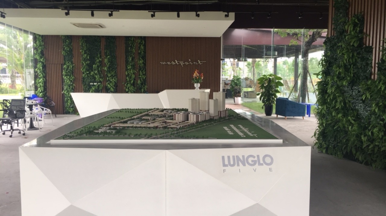 Lũng Lô 5 chưa sử dụng đất để thực hiện dự án, đã hết thời hạn sử dụng đất nhưng không được gia hạn sử dụng đất theo quy định.