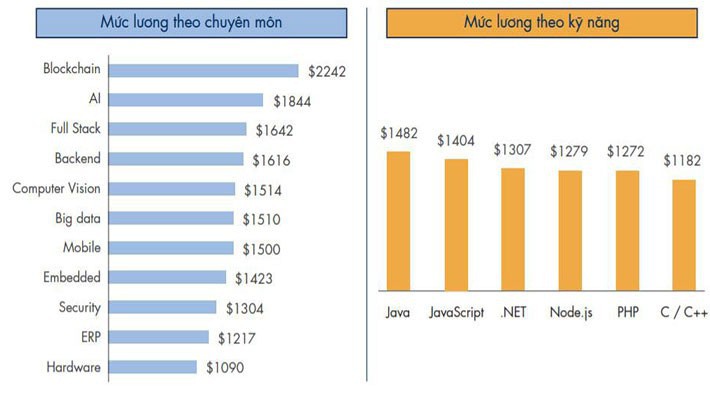Mức lương của kỹ sư công nghệ thông tin tại Việt Nam xét theo chuyên môn và kỹ năng - theo báo cáo của VietnamWorks.