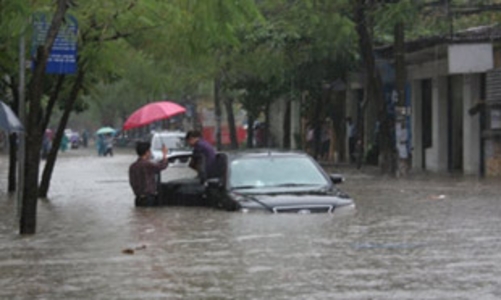 Bảo hiểm xe cơ giới: “Cá bé nuốt cá lớn”