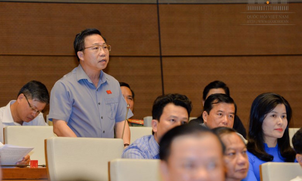 Đại biểu Lưu Bình Nhưỡng phát biểu tại nghị trường.