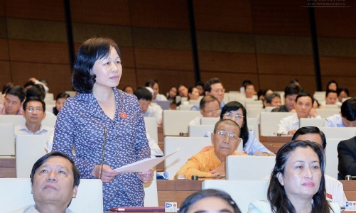 Phải sửa toàn diện Bộ luật Hình sự?