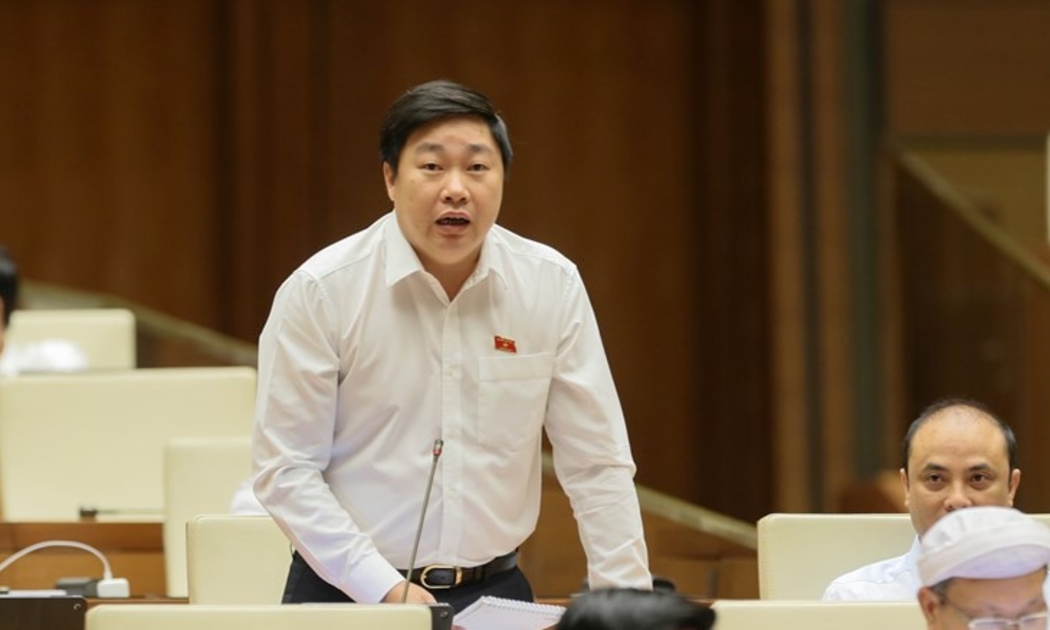 Đại biểu Mai Khanh (Ninh Bình) phát biểu tại phiên thảo luận.