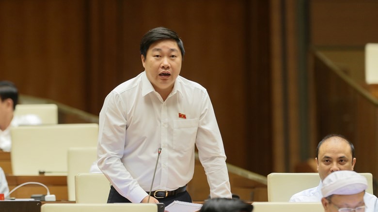 Đại biểu Mai Khanh (Ninh Bình) phát biểu tại phiên thảo luận. 