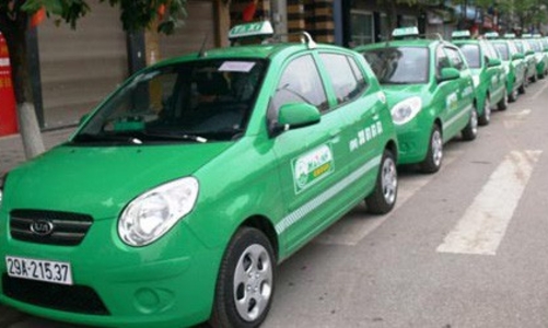 Mai Linh Miền Bắc thoát lỗ ngoạn mục nhờ thanh lý xe cũ