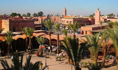 Khuyến cáo doanh nghiệp Việt không giao dịch với một công ty tại Maroc