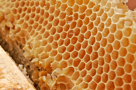 Hiện Mỹ là thị trường nhập khẩu mật ong chính của Việt Nam.