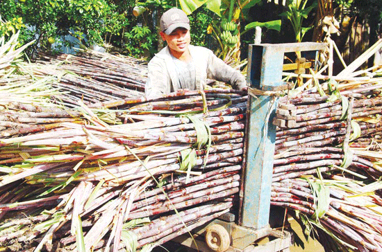 Nhiều nhà máy đường hạ giá bán