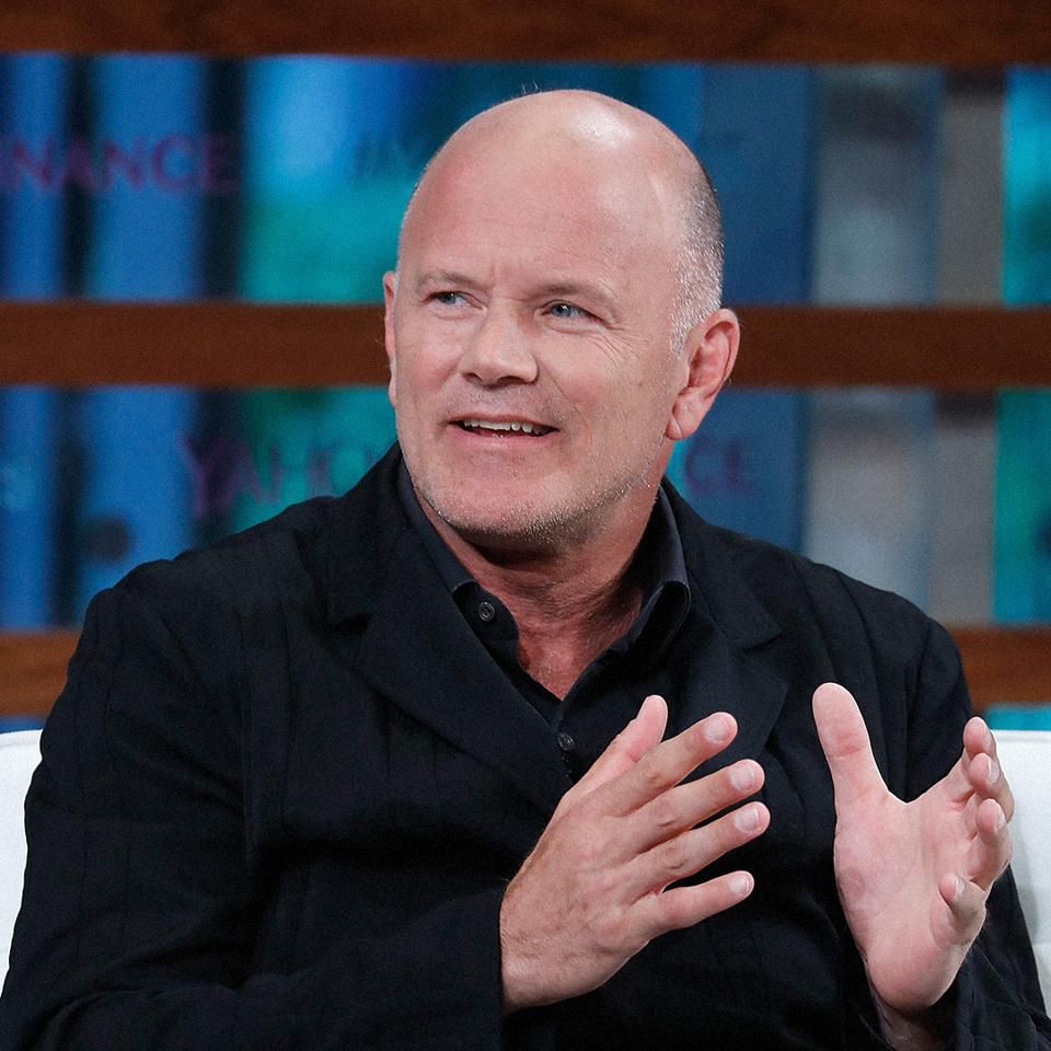 Mike Novogratz - Ảnh: Getty Images