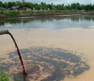 Quỹ Bảo vệ môi trường Việt Nam, với số vốn điều lệ khoảng 500 tỷ đồng, mới chỉ cho gần 40 dự án vay vốn ưu đãi với số tiền là 125 tỷ đồng.