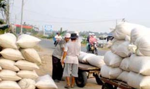 Thị trường lúa gạo nhiều biến động