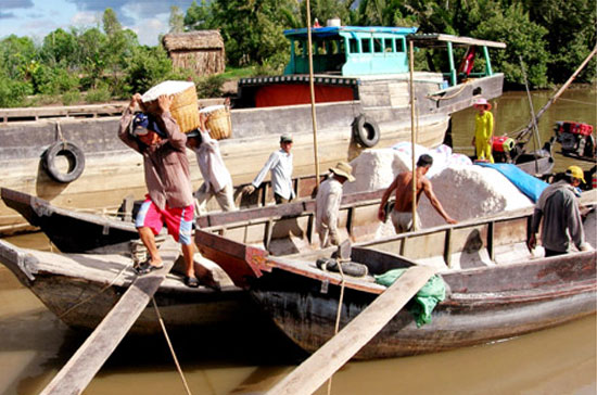 Đã qua hơn 1 tháng thu mua muối tạm trữ, nhưng việc xác định giá thành vẫn đang gặp khó khăn.