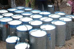 Giá mủ cao su đã tăng trên 300% so với cùng thời điểm tháng 4/2009.