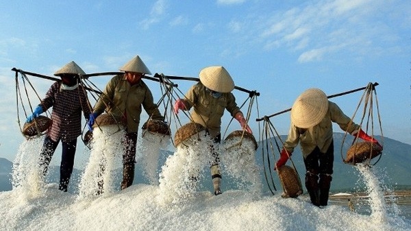 Dự án khai thác muối mỏ ở Lào của Vinachem giờ đây được đánh giá không hiệu quả do giá KCl giảm sâu - Ảnh minh hoạ.