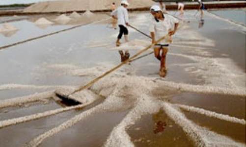 Muối nhập khẩu “không ảnh hưởng” đến giá muối trong nước