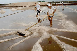 Diêm dân sẽ được hỗ trợ để giữ ổn định giá muối.