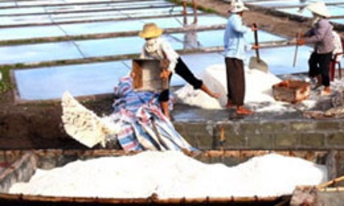 Muối nội điêu đứng vì muối ngoại?