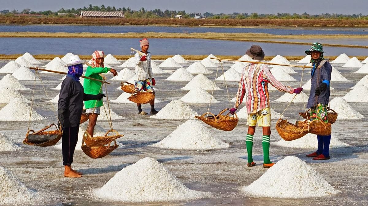 Hiện tại giá muối cao gấp 2 – 3 lần so với năm 2018, nên diêm dân có lãi khoảng 40 - 50 triệu đồng/ha/vụ.