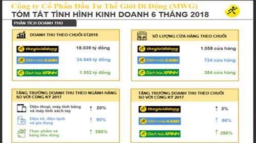 Bản tóm tắt kinh doanh 6 tháng đầu năm của Thế giới Di động.