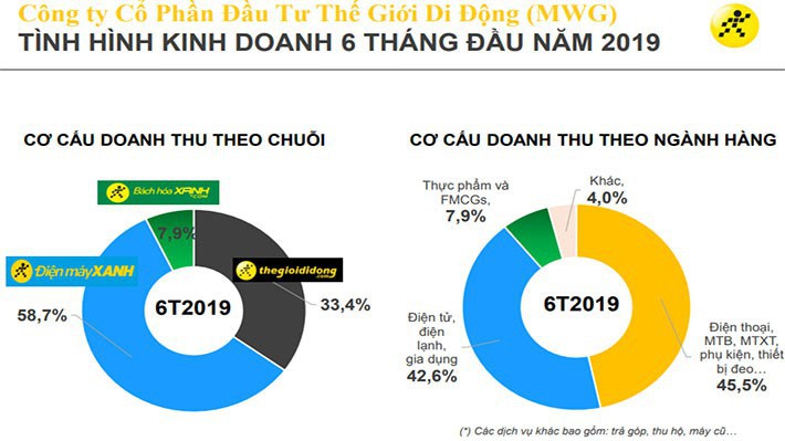 Cơ cấu doanh thu theo chuỗi và doanh thu theo ngành hàng 6 tháng đầu năm 2019 của Công ty Cổ phần Đầu tư Thế giới Di động.