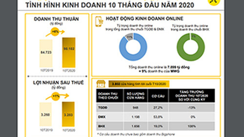 Sơ đồ doanh thu 10 tháng năm 2020 của công ty.