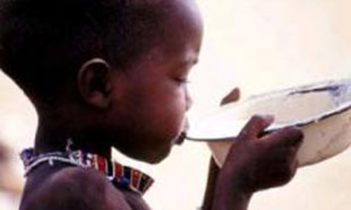 FAO cảnh báo nạn đói lịch sử toàn cầu