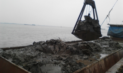 “Các nước mua cát mở rộng lãnh thổ, nước ta xuất khẩu giá trị thấp”