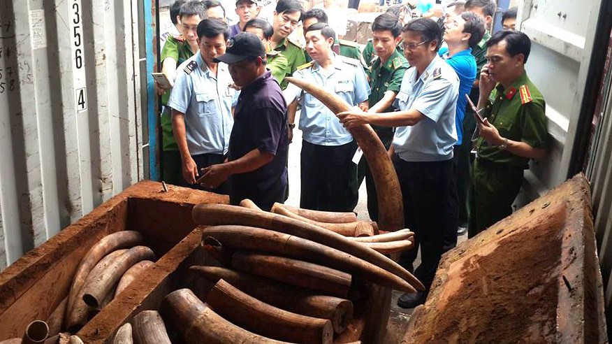 Lô hàng bị bắt giữ có hành trình từ Nigeria đến Đà Nẵng được vận chuyển trên tàu Linda Via IMO 9122345 - Ảnh minh họa.