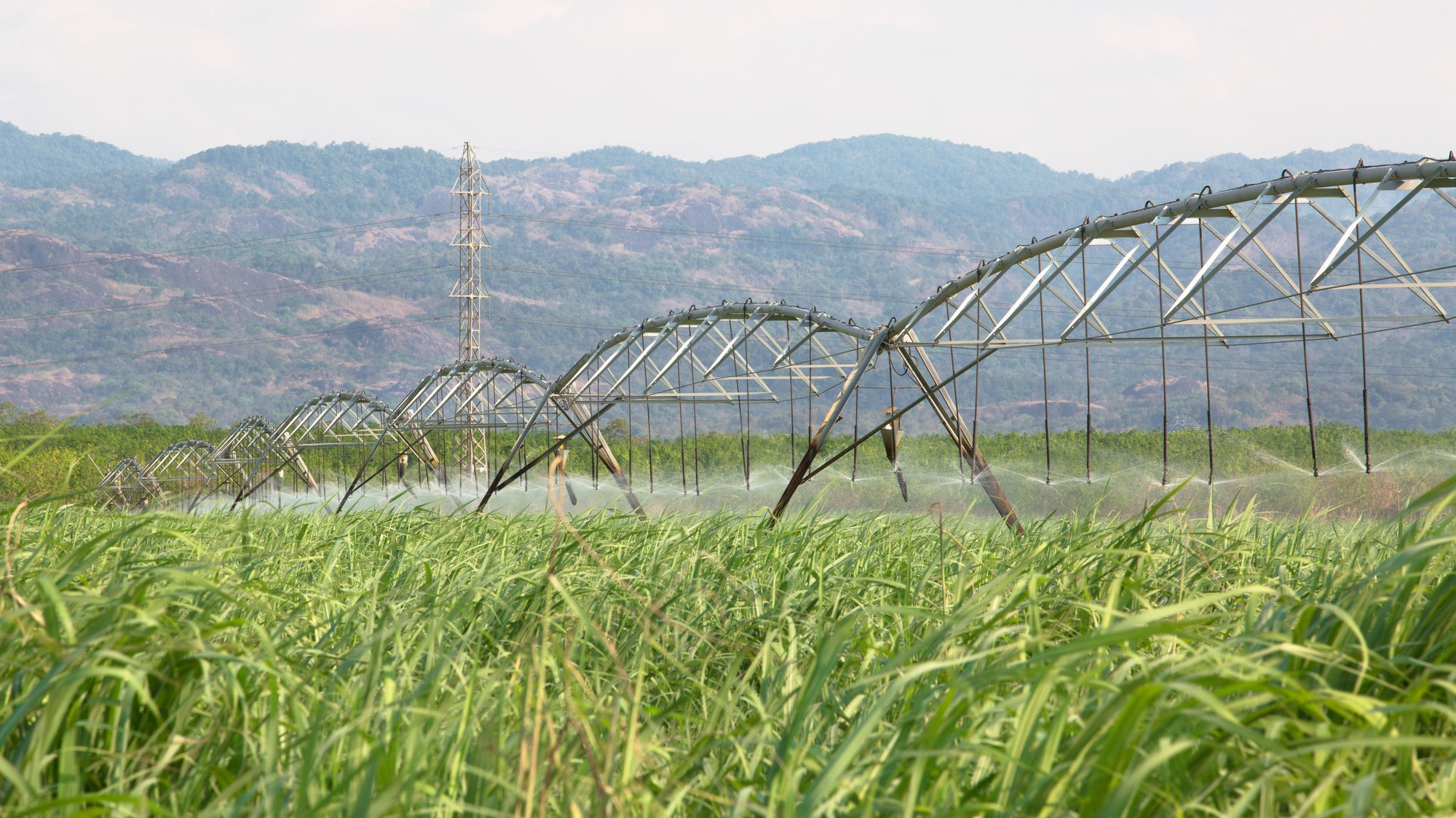 Lãi suất cho vay chương trình này là 9,6%/năm, áp dụng cho các khoản vay trung dài hạn và được OCB cố định trong suốt thời gian cho vay.