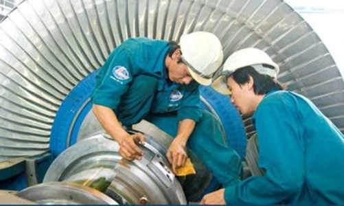 Thiệt hại nặng bởi Nghị định 20, loạt doanh nghiệp cầu cứu Bộ Tài chính
