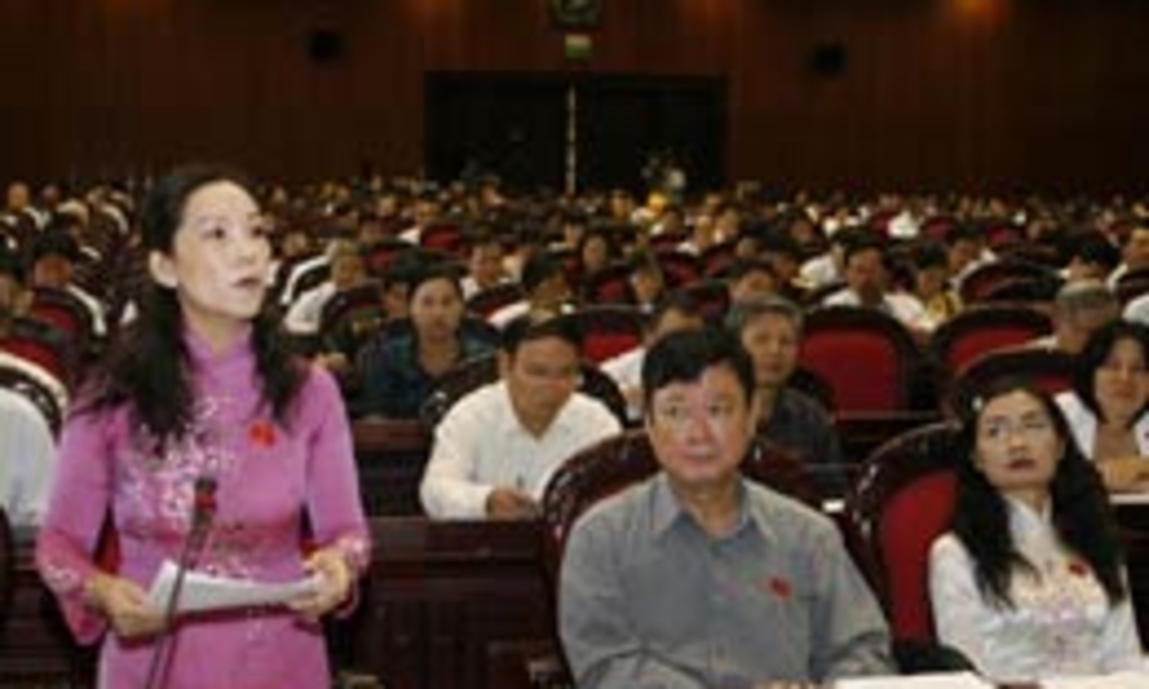 Quốc hội đã thảo luận tại hội trường về hai dự án điện trước khi thông qua trong tuần này.