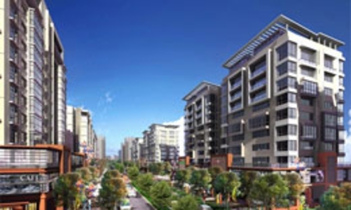 Nhà đất 2010: Bí ẩn nguồn cầu, đau đầu tiền bạc