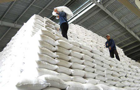 ADB dự báo, trong thập kỷ tới, Việt Nam sẽ duy trì bền vững tốc độ tăng xuất khẩu gạo, với khối lượng gạo xuất khẩu có thể tăng khoảng 1,22% mỗi năm.