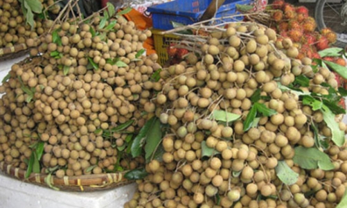 Nhãn Hưng Yên đang bị nhãn ngoại chèn ép?