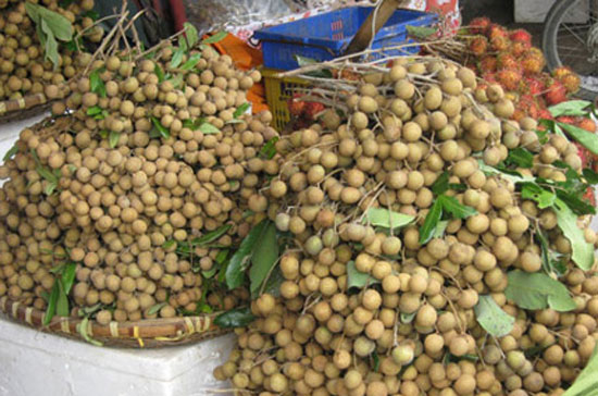 Rất khó phân biệt nhãn Trung Quốc và nhãn Hưng Yên trên thị trường.