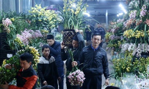 Nhập khẩu hoa và cây cảnh tăng mạnh