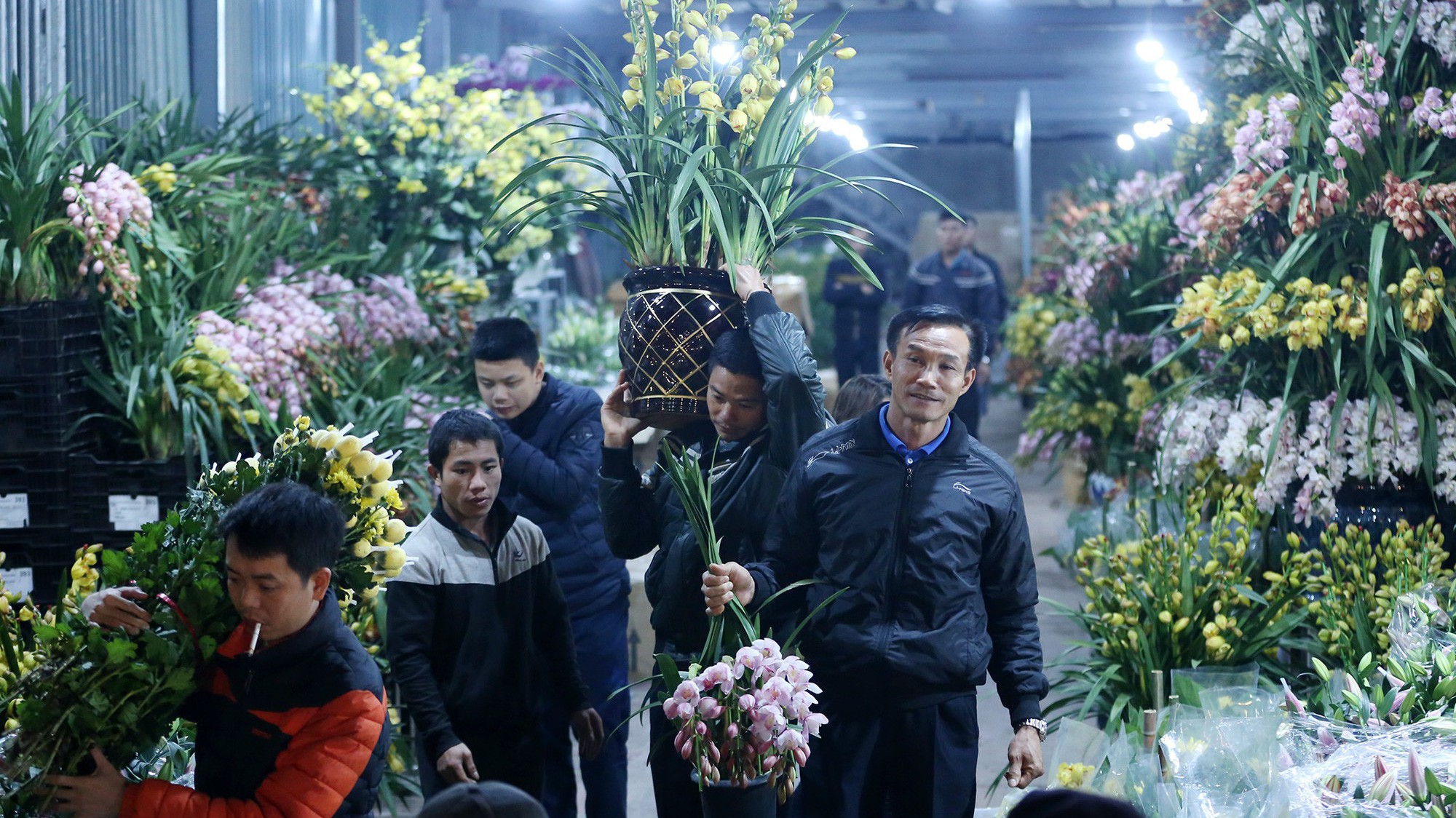 Cơ cấu nhập khẩu các loại hoa, cây cảnh dịp Tết năm 2018 chủ yếu là các loại hoa, cây cảnh dạng cây sống.