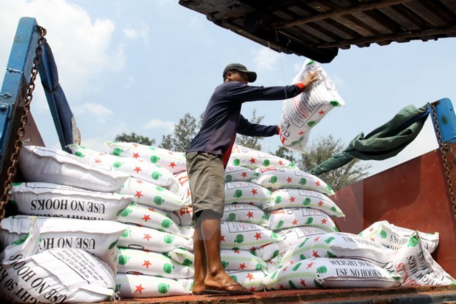 Nhập siêu chủ yếu đến từ khu vực kinh tế trong nước.