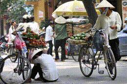 Số dân nhập cư vào khu vực nội đô Hà Nội ngày càng gia tăng với tỷ suất nhập cư là 65,3% trong 5 năm (2005 - 2009).