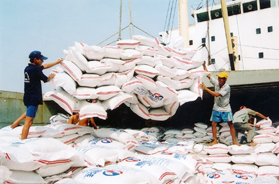 Năm 2011, kim ngạch xuất khẩu gạo của Việt Nam có thể đạt 3,5 tỷ USD.