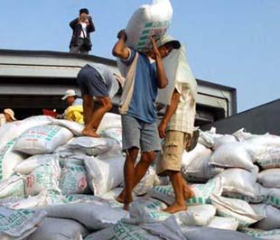 Hiệp hội phân bón Việt Nam đề xuất bãi bỏ giấy phép xuất khẩu phân bón.