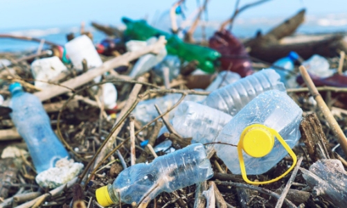 Hạn chế và ngừng dùng bao bì nhựa: Cần có lộ trình và phối hợp thực hiện đồng bộ