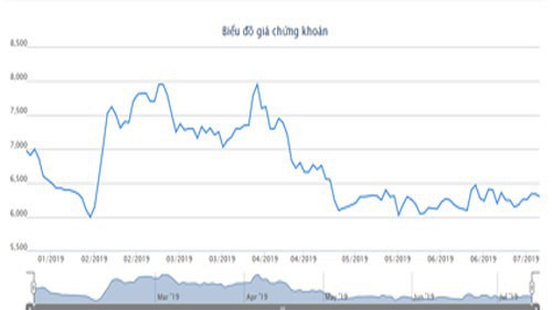 Biểu đồ giao dịch giá cổ phiếu NKG từ đầu năm đến nay - Nguồn: HOSE.