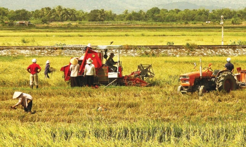 Doanh nghiệp nông nghiệp “khai tử” nhiều hơn là lập mới